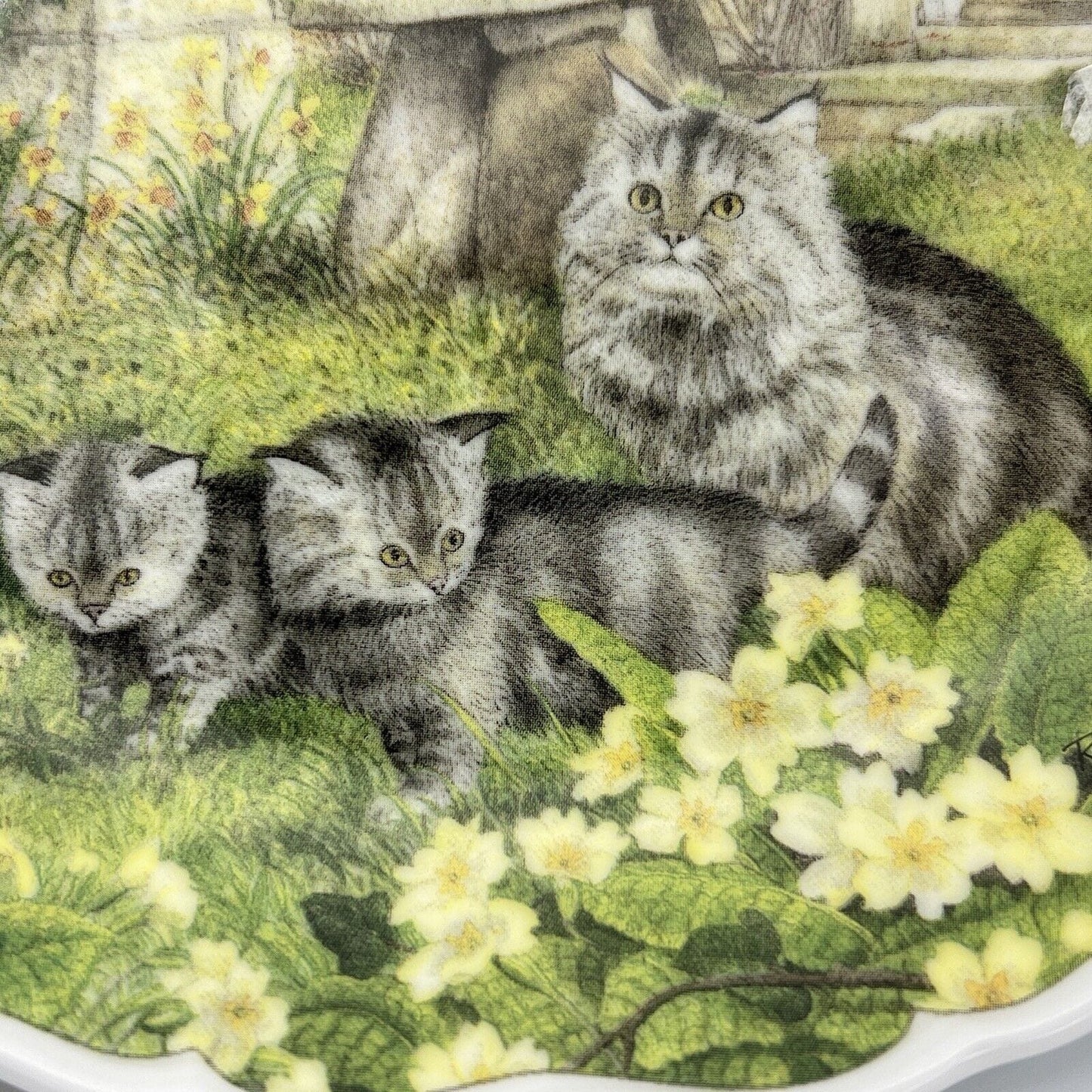 Piatto vintage in porcellana da collezione Royal Albert Gatti Gatto Gattini  '90 Categoria  Piatti e Piattini