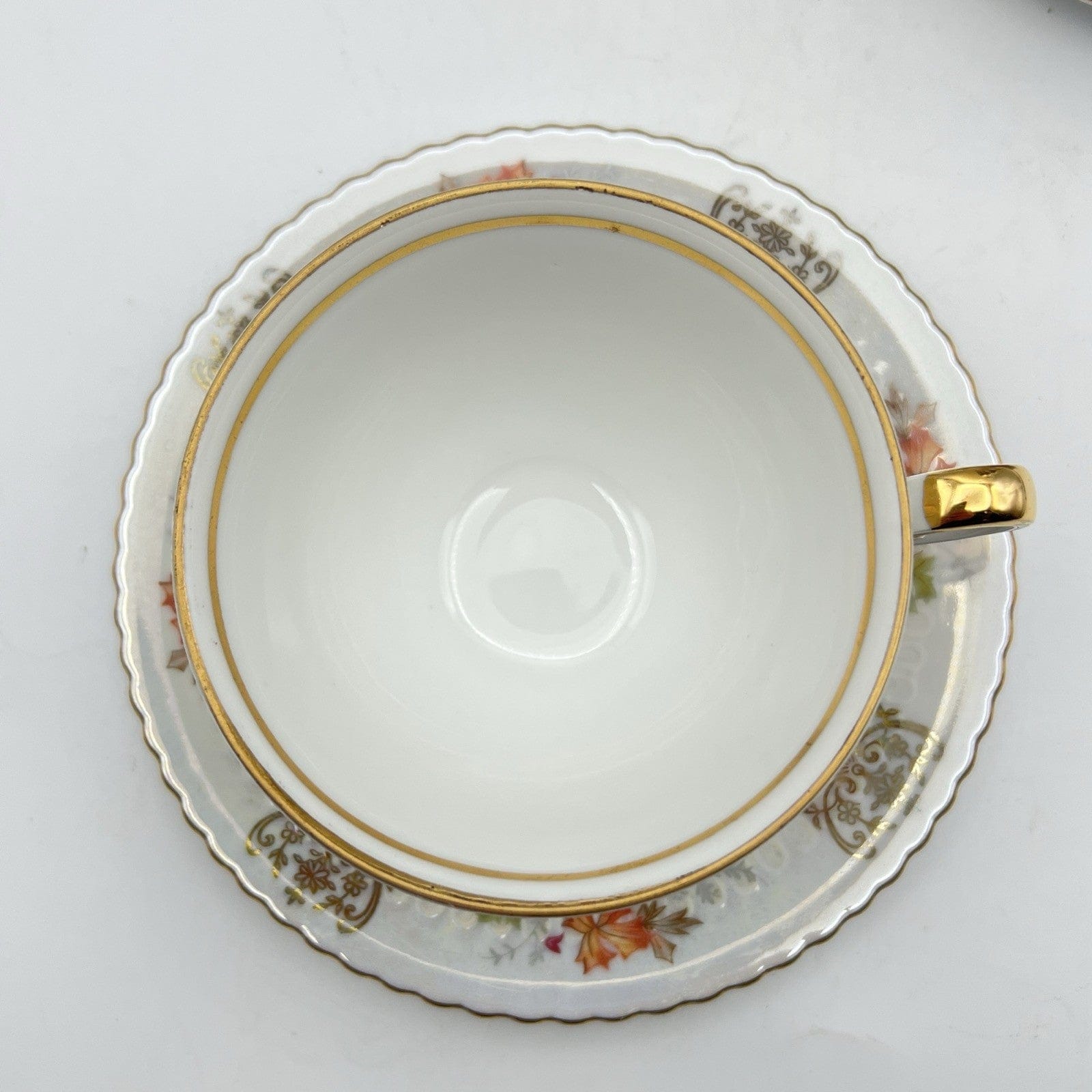 Servizio da the tè antico in porcellana Bavaria Seltamann Bavaria tazze Tazzine Categoria  Servizio tazze - Tazze