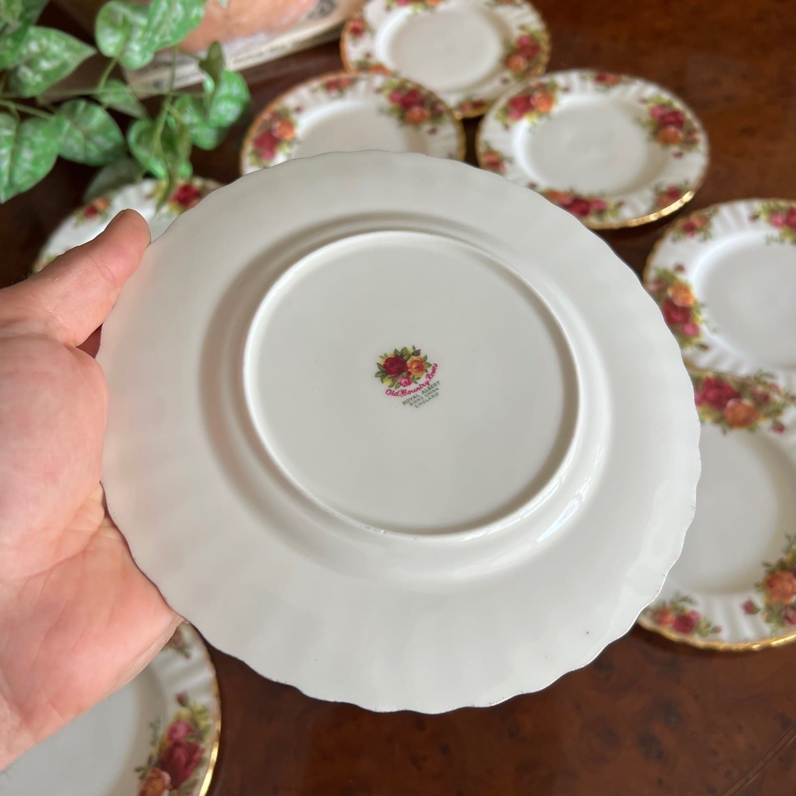 Set Servizio di 10 Piatti 18 cm in Porcellana Royal Albert Old Country Roses Categoria  Piatti e Piattini