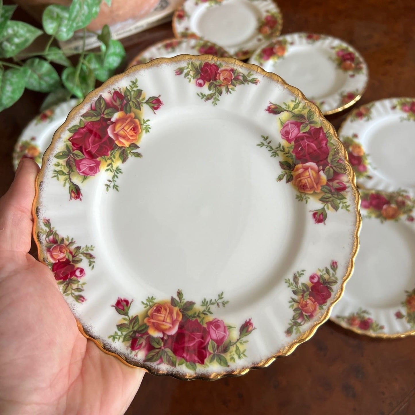 Set Servizio di 10 Piatti 18 cm in Porcellana Royal Albert Old Country Roses Categoria  Piatti e Piattini