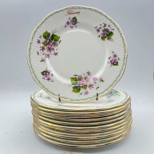 Set Servizio di piatti completo con Mesi Flower Of the Month inglese Queen's Categoria  Servizio tazze - Tazze
