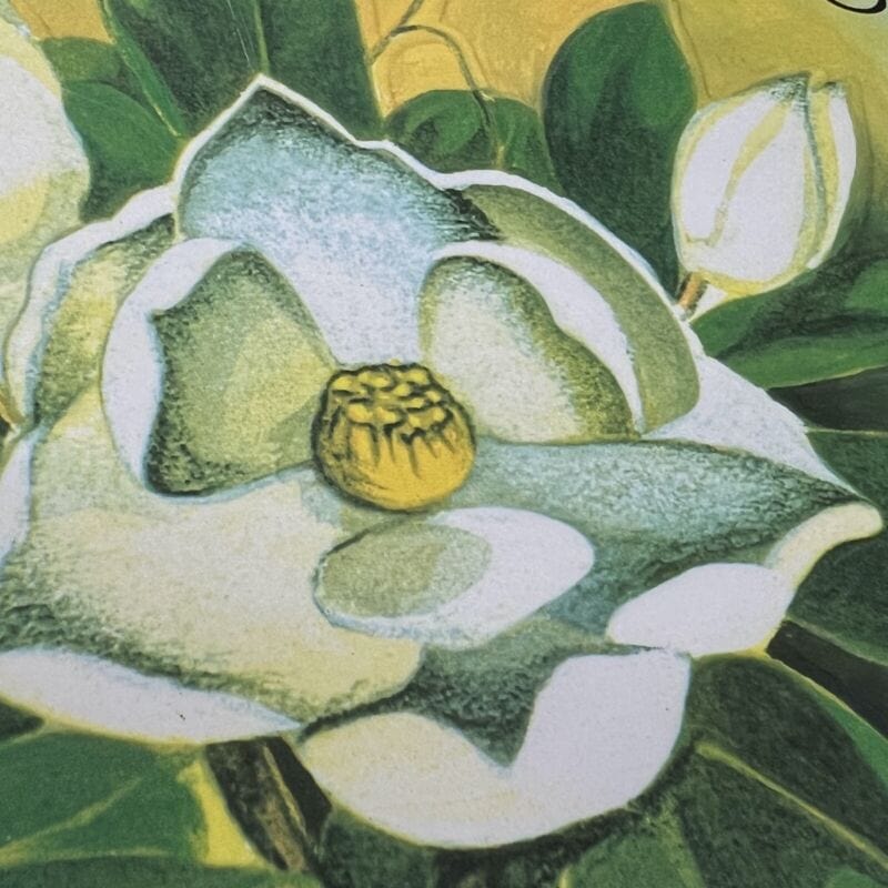 Targa in metallo Vintage retro Decorazione da parete murale fiore Magnolia Categoria  Arte e antiquariato:Modernariato:Targhe e pubblicità