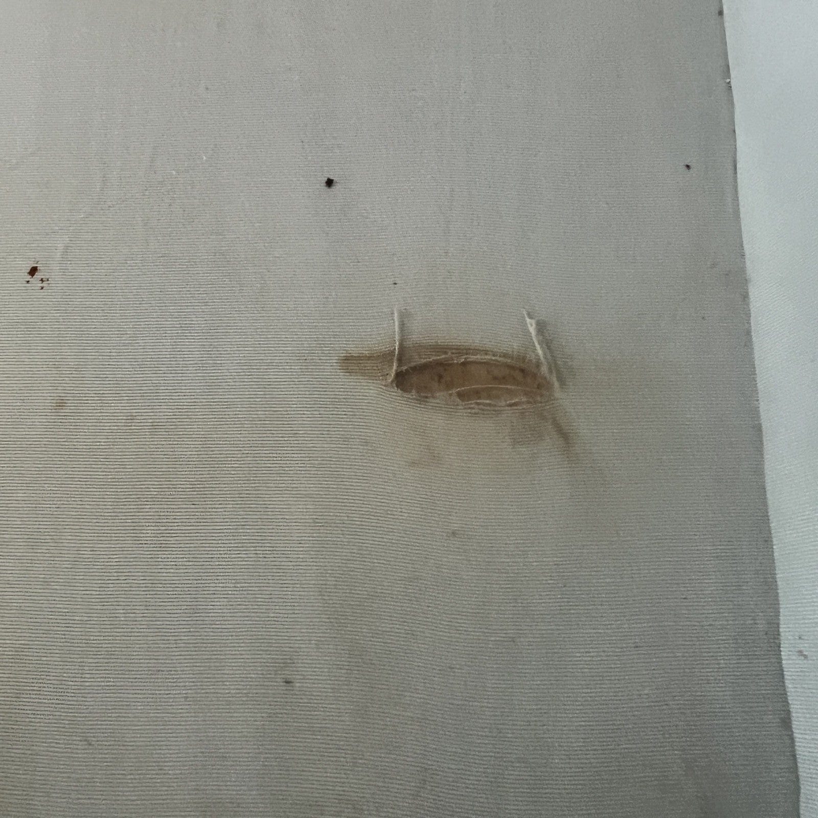 Tavolino da solotto vetro bacheca antico tavolo vetrina basso stile neoclassico Categoria  Tavoli - tavolinetti