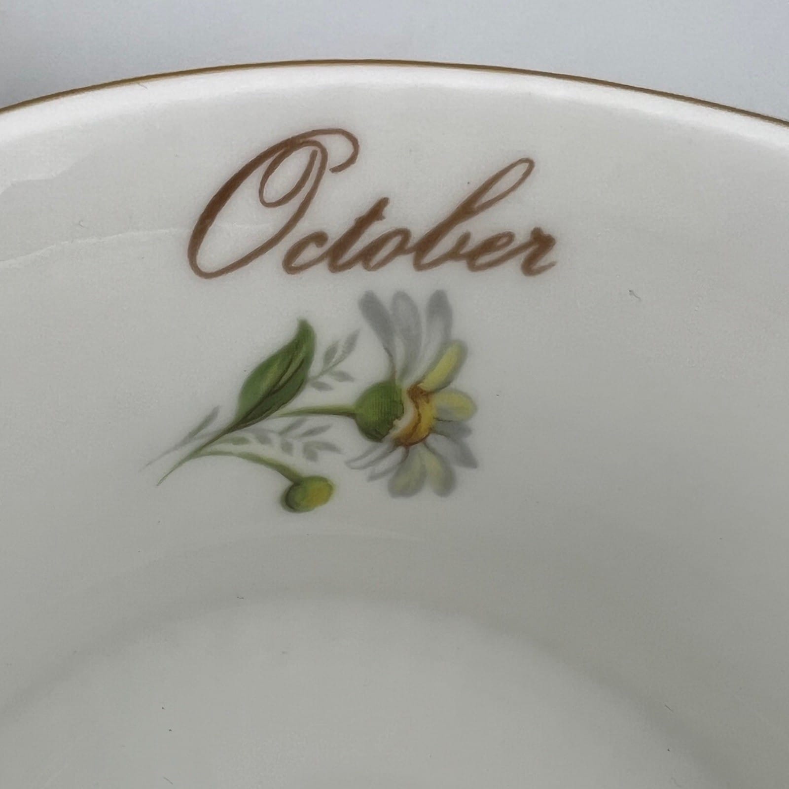 Tazza da the tè in porcellana Queen's con mese tazzina inglese Ottobe Rosina Categoria  Servizio tazze - Tazze