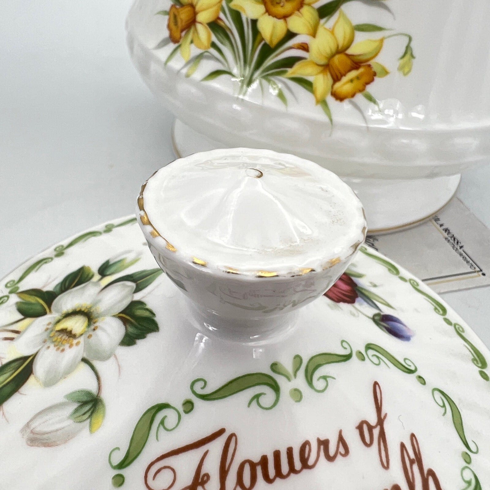 Teiera in porcellana con mesi e fiori Flower of the month Caffettiera Queen's Categoria  Servizio tazze - Tazze