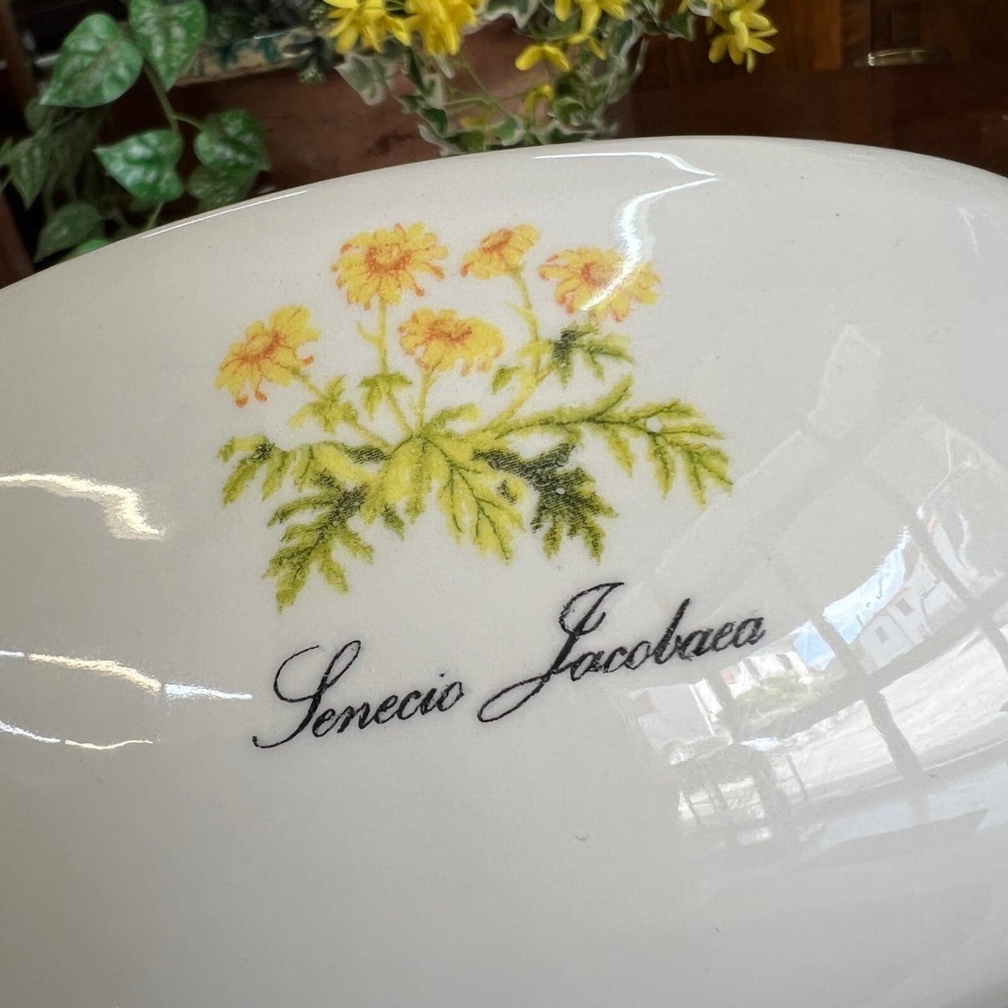 Zuppiera stile antico in ceramica Legumiera Deruta Santucci Fiore Giallo Senecio Categoria  Zuppiere