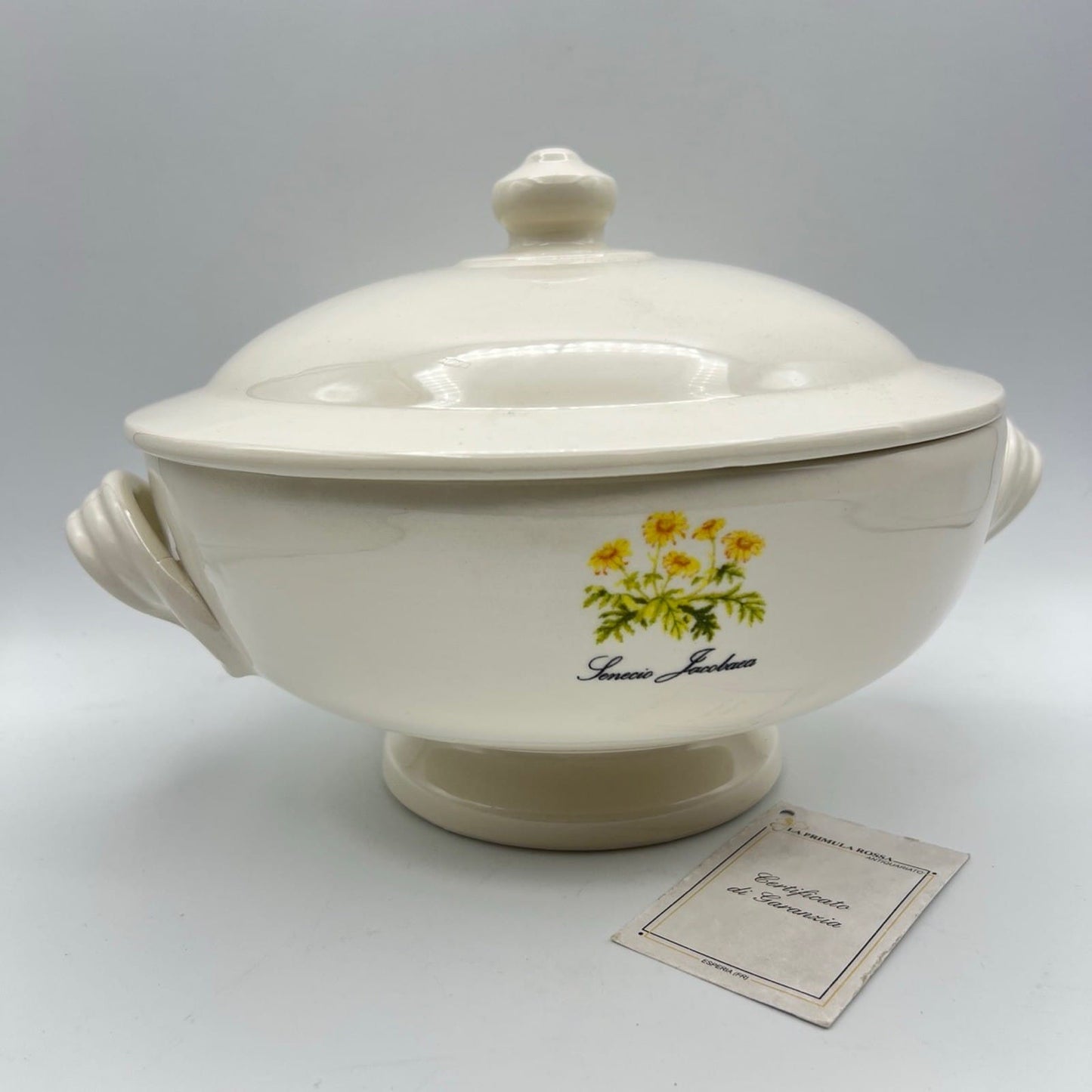 Zuppiera stile antico in ceramica Legumiera Deruta Santucci Fiore Giallo Senecio Categoria  Zuppiere