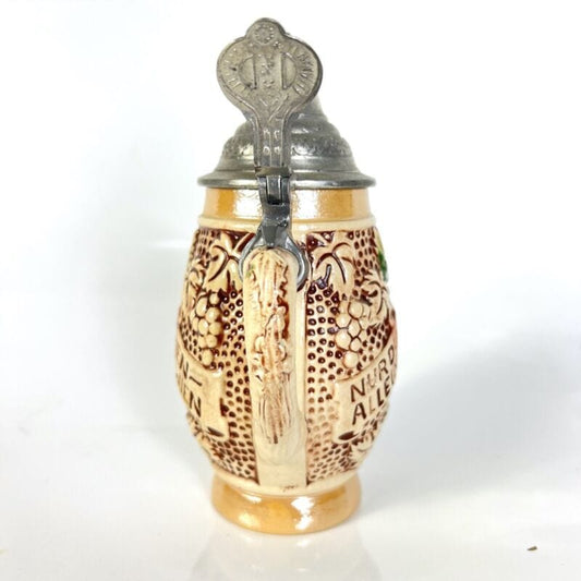 Boccale da birra in ceramica tedesco vintage con coperchio in peltro bicchiere Q Birra & dintorni