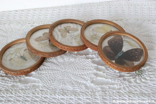 CINQUE SOTTOBICCHIERI VINTAGE CON FARFALLE - SET OF 5 COASTERS WITH BUTTERFLIES Complementi d'arredo