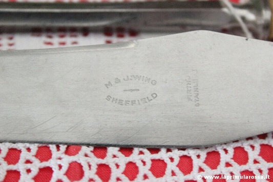 COPPIA DI POSATE INGLESI ANTICHE X ARROSTO IN ACCIAIO E OSSO DI BUE Sheffield & Argento