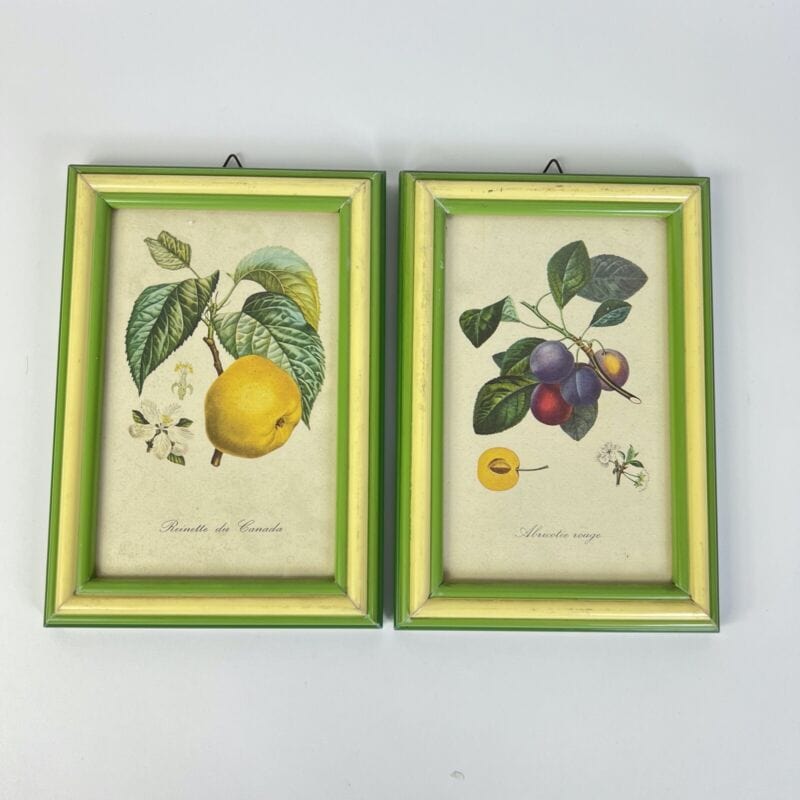 Coppia quadretti shabby chic vintage verdi stampe frutta con fiori Mela e Prugne Quadri