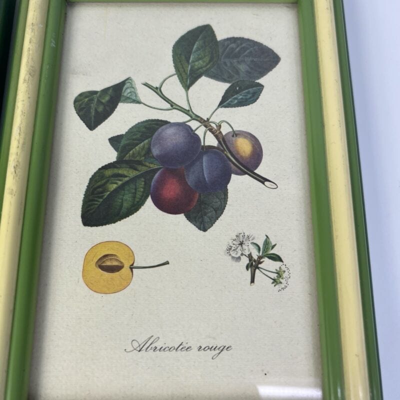 Coppia quadretti shabby chic vintage verdi stampe frutta con fiori Mela e Prugne Quadri