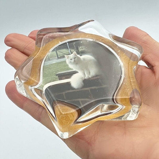 Fermacarte Vintage in vetro da scrivania stella con foto Gatto persiano bianco Complementi d'arredo