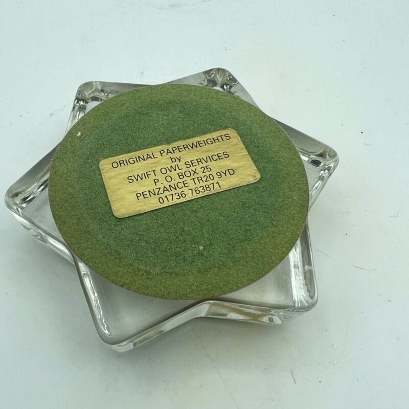 Fermacarte Vintage in vetro da scrivania stella con foto Gatto persiano bianco Complementi d'arredo