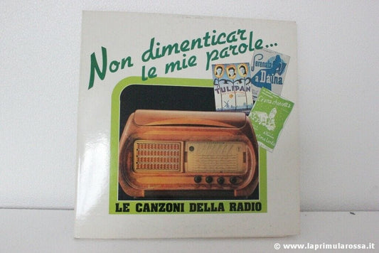 NON DIMENTICAR LE MIE PAROLE LE CANZONI DELLA RADIO 2 LP  ANNO 1990 FM 14209 Dischi in Vinile