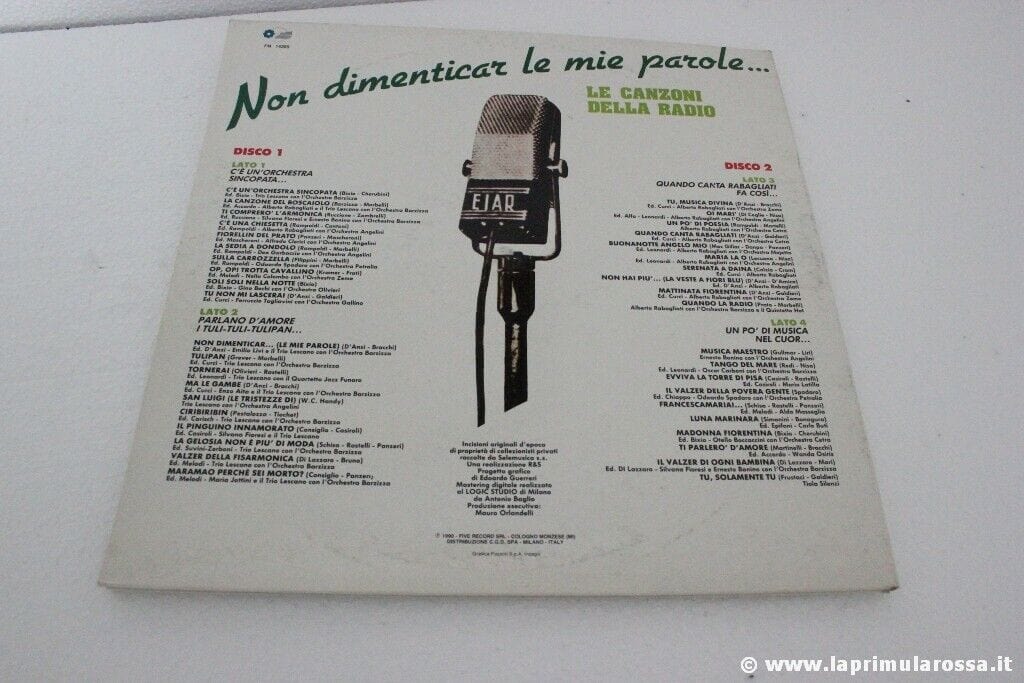 NON DIMENTICAR LE MIE PAROLE LE CANZONI DELLA RADIO 2 LP  ANNO 1990 FM 14209 Dischi in Vinile