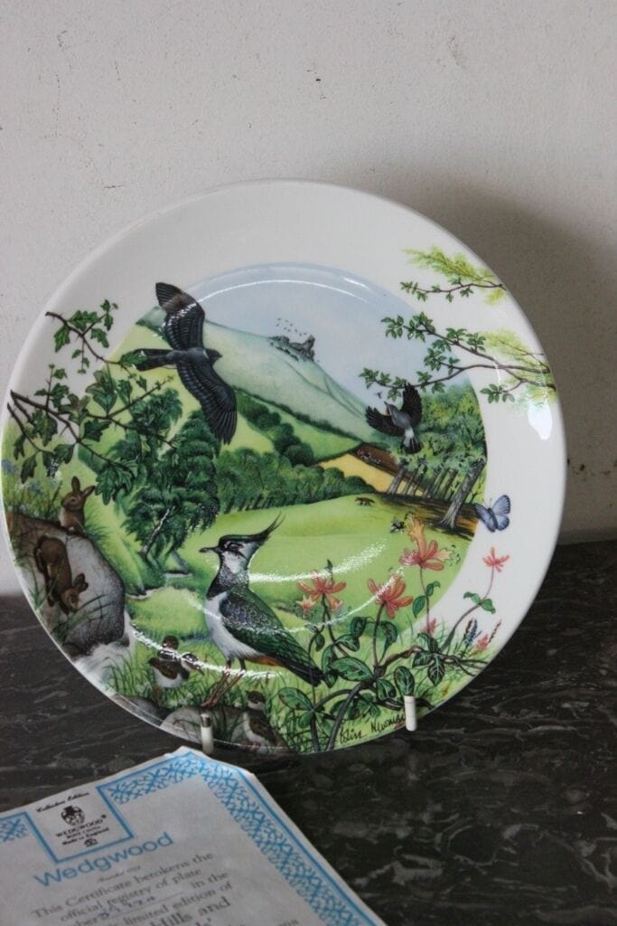 PIATTO IN PORCELLANA  VINTAGE WEDGWOOD ANNO 1988  ROLLING HILLS AND GRASSLANDS Ceramiche e Porcellane