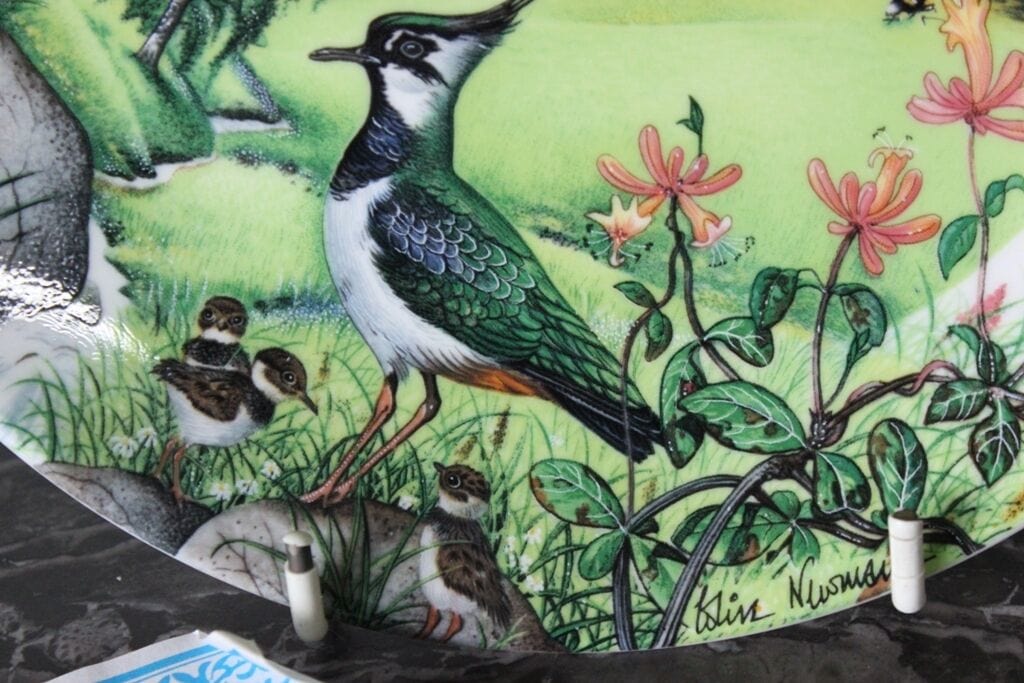 PIATTO IN PORCELLANA  VINTAGE WEDGWOOD ANNO 1988  ROLLING HILLS AND GRASSLANDS Ceramiche e Porcellane