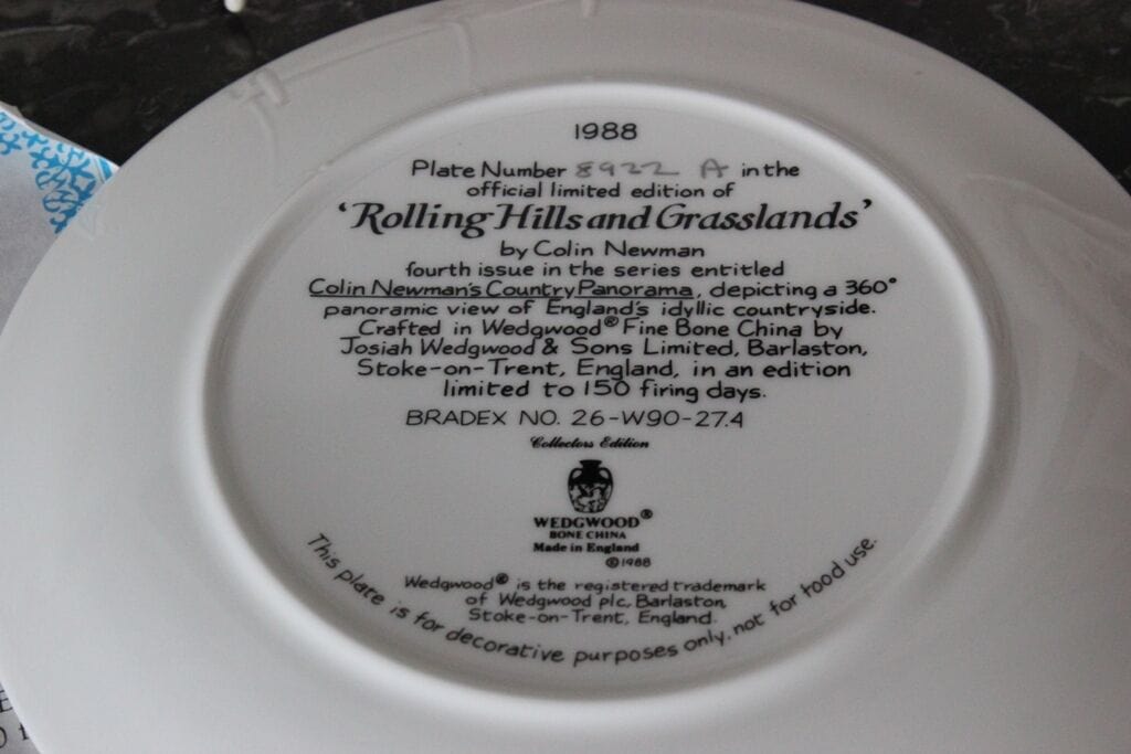 PIATTO IN PORCELLANA  VINTAGE WEDGWOOD ANNO 1988  ROLLING HILLS AND GRASSLANDS Ceramiche e Porcellane