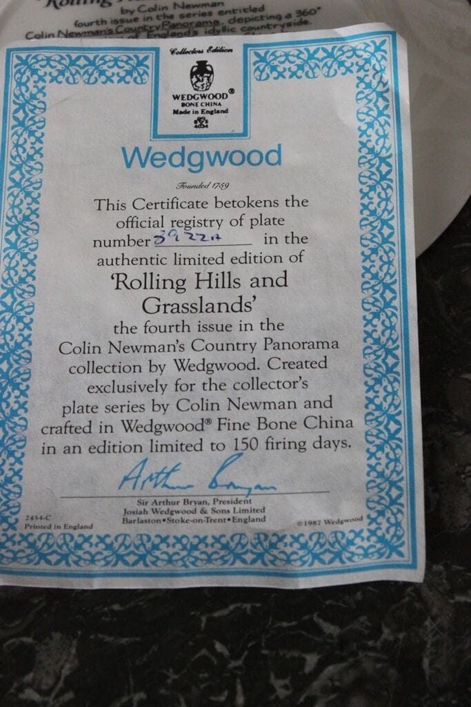 PIATTO IN PORCELLANA  VINTAGE WEDGWOOD ANNO 1988  ROLLING HILLS AND GRASSLANDS Ceramiche e Porcellane