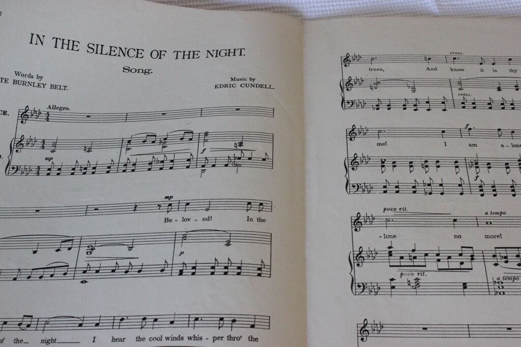 SPARTITO MUSICALE ANTICO   IN THE SILENCE OF THE NIGHT  PER PIANOFORTE E VOCE Libri